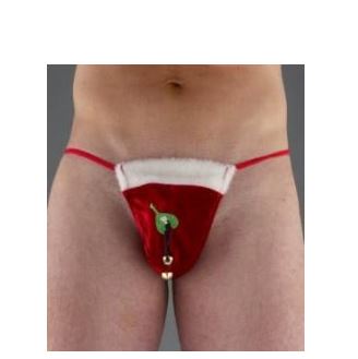 MISTLETOE UNDERWEAR FOR HIM was £6.49