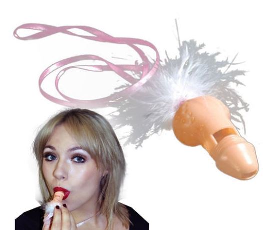 Willy Whistle reduced was £1.99 now £0.99